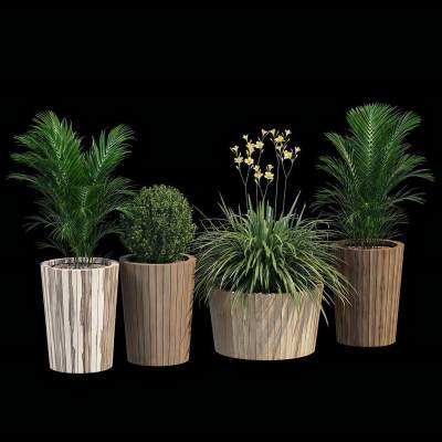 现代盆栽绿植 花盆